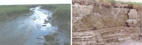 A gauche : Chenal de marée dans la slikke - A droite : Lamination des sédiments fins de la slikke. © Reproduction et utilisation interdites 