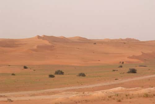 <br />Vue vers le Nord de l'erg Azéfal le long de la route Nouakchott-Nouadhibou en Mauritanie (octobre 2005). Une grande partie de cette route est menacée par l'allongement des sifs issus du remaniement éolien des sables des anciens cordons longitudinaux rubéfiés auparavant fixés par un couvert végétal.