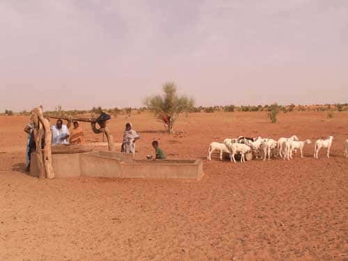 <br />Au Nord d'Ayoûn El Atrous, en Mauritanie (octobre 2005) le puits de Mobrouk a une profondeur de 70 m sur le socle cristallin recouvert d'une nappe sableuse quaternaire. Un petit troupeau de moutons vient s'abreuver tandis que les bergers tirent l'eau du puits.