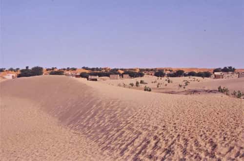 <br />Erg du Trarza en Mauritanie à l'Est de Nouakchott (décembre 2001). Ici au premier plan, amorce de sif barrant le couloir interdunaire entre deux cordons longitudinaux. 