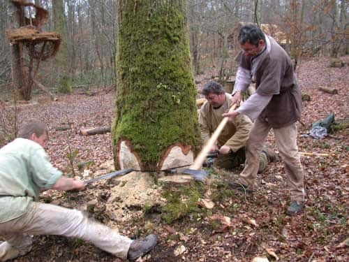Abattage d'un arbre à la scie et coins en métal. © Guédelon - Reproduction et utilisation interdites - Tous droits réservés