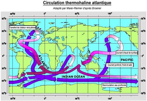La circulation thermohaline et le tapis roulant : une prime pour le Gulf Stream