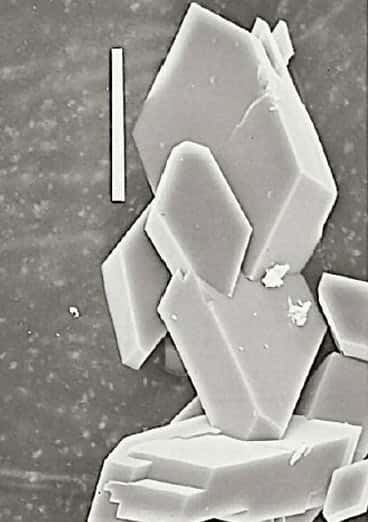 Bamfordite, croissance des cristaux les uns sur et dans les autres. © Webmineral, DR
