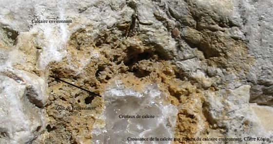 Cristal de calcite qui s'est développé aux dépens, en partie du calcaire qui l'entoure.
