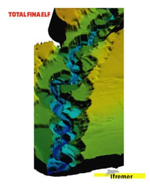 <br />Vue 3D de la morphologie d'une partie du canyon sous-marin du Zaïre<br />&copy; Ifremer <br />Reproduction et utilisation interdites