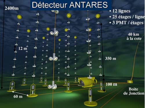 Antares est un télescope à neutrinos situé à 2.400 mètres de fond. Il occupe une surface d'environ un dixième de km<sup>2.</sup> Dans le futur il sera remplacé par un détecteur de taille kilométrique en Méditerranée. Le schéma montre les 12 lignes de photomultiplicateurs (PMT) déployées à 40 kilomètres de la côte. © CPPM
