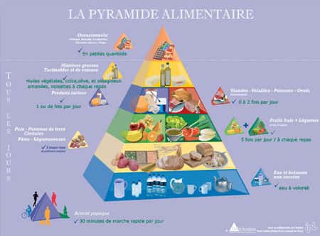 La pyramide alimentaire (cliquez sur l'image pour l'agrandir). © <a target="blank" href="http://www.diffu-sciences.com/pyramide.php">Diffu-Sciences</a>