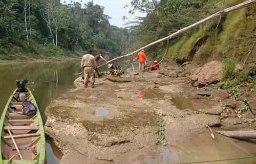Expédition Fitzcarrald 2005, un des gisements de fossiles du Rio Mapuya. © IRD/ P. Baby Reproduction et utilisation interdites