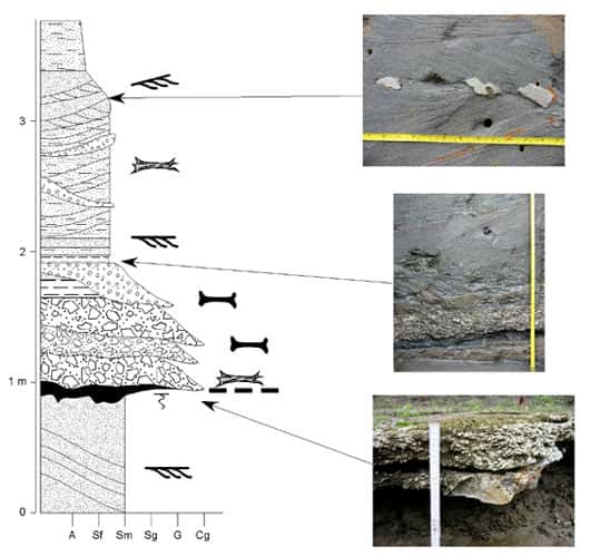 Section litho-stratigraphique relevée sur un des affleurements étudiés lors de l'Expédition Fitzcarrald. © N. Espurt Reproduction et utilisation interdites