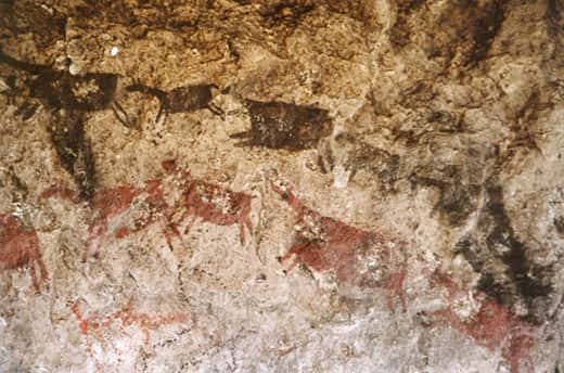 Figure 3 : troupeau de camélidés, Macusani (dép. de Puno). © R. Hostnig, reproduction et utilisation interdites 