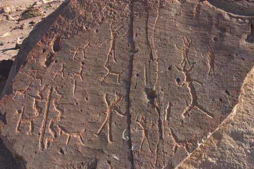 Figure 23 : pétroglyphes de Toro Muerto. © Reproduction et utilisation interdites 