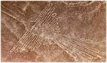 Géoglyphe de la pampa de Nazca : représentation d'un colibri. © DR