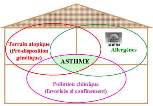 Figure 1 : La pollution chimique à l'intérieur des logements est un co-facteur de l'asthme.