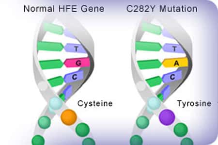 Mutation génique. © DR - Reproduction et utilisation interdites