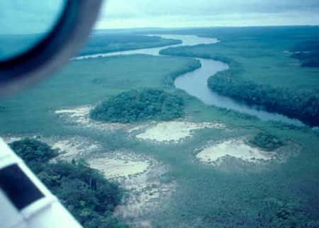 <br />Dans la baie de la Mondah près de Libreville, au Gabon, tannes formant grossièrement  des auréoles autour d'îlots couverts de forêt pluviale<br />&copy; JM Lebigre <br />Reproduction et utilisation interdites