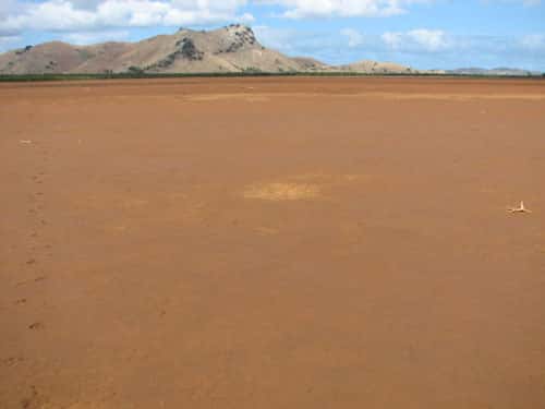 <br />En Nouvelle-Calédonie, l'immense tanne rouge du delta de la Tontouta <br />&copy; JM Lebigre <br />Reproduction et utilisation interdites