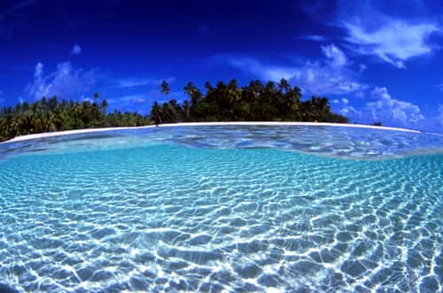 <br />Atoll de Fakarava, dans l'archipel des Tuamotu - Réserve de la biosphère. Vue mi-air mi-eau sur un univers paradisiaque<br />&copy; Photographe Alexis Rosenfeld<br />Tous droits réservés  