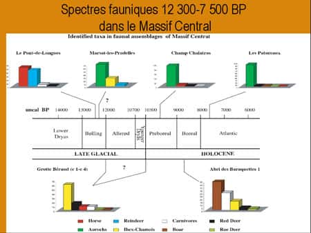 Fig. 12 - Spectres fauniques des sites du Magdalénien final, de l'Epipaléolithique et du Mésolithique (Fontana, 2000b, 2000c, 2003 ; d'après Pasty et al., 2002).