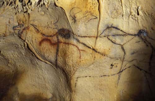Fig. 10. Cerf mégacéros et bouquetin dans la Grotte de Cougnac (Lot). © Cliché J. Clottes. Tous droits réservés