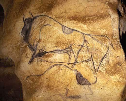 Fig. 4. Ce bison de la Grotte Chauvet (Ardèche) a été daté directement de 30 340 BP ± 570 (Gif A 95128). Le thème du bison dans les grottes ornées durera pendant vingt millénaires. © Cliché J. Clottes. Tous droits réservés