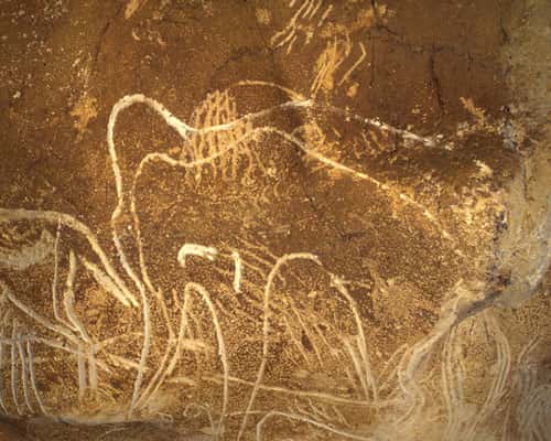 Fig. 6. Mammouth gravé (à droite), animal redoutable le plus fréquemment représenté dans la Grotte Chauvet. © Cliché J. Clottes. Tous droits réservés