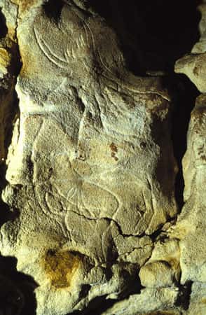 Fig. 16. Le « Sorcier » de la Grotte de Gabillou, créature associant des caractéristiques humaines et animales (tête et queue de bison). © Cliché J. Clottes. Tous droits réservés