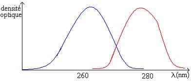 Exemple de spectrographe d'acide nucléique et de protéines 