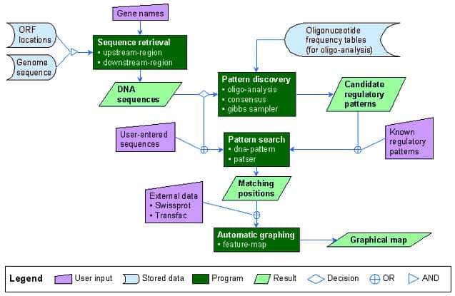 Figure 2. Schéma de fonctionnement de RSA tools (http://ucmb.ulb.ac.be/bioinformatics/rsatools)<br />