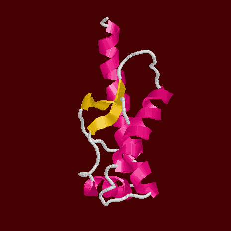 Le prion est une protéine infectieuse de la maladie de Creutzfeldt-Jakob. © student.biology.arizona.edu