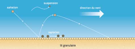 Fig. 1. Différents mécanismes de transport des grains par le vent au-dessus d’un lit de sable. © DR