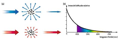 Fig. 3. La diffusion de la lumière traduit le fait qu’un faisceau incident de lumière parallèle est renvoyé en partie dans d’autres directions de l’espace lorsqu’il rencontre une suspension de particules. La figure (a) correspond au cas où leur taille est inférieure au dixième de la longueur d’onde de la radiation incidente : la diffusion est beaucoup plus efficace dans le bleu que dans le rouge. L’intensité de la lumière diffusée varie de fait comme l’inverse de la puissance quatrième de la longueur d’onde (b). © DR