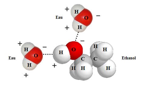 En mettant de l’alcool dans de l’eau, les molécules d’eau vont entourer chaque molécule d’éthanol. © DR