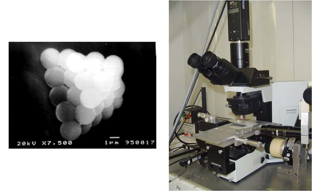 Mesure des forces d'interaction entre objets microscopiques. © ISIR