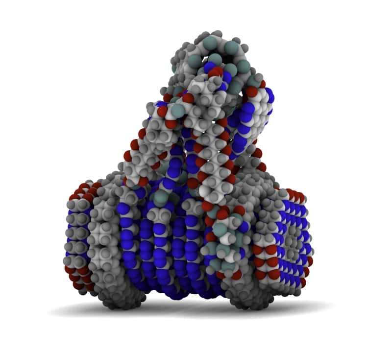 Prototype de nanomachine conçue par le professeur K. Eric Drexler. © <em>Institute for molecular manufacturing</em>
