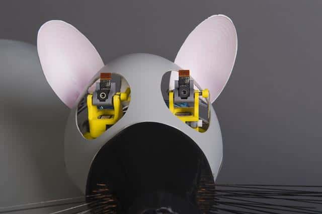 La robotique biomimétique : reproduire au mieux le mécanisme d'un animal. © CNRS Photothèque/ISIR/Rajau Benoît