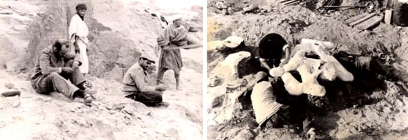 René Lavocat sur le terrain (assis, sur la gauche de la photo de gauche) et plâtrage d’ossements de dinosaures dans le site de Gara Sbâa au Maroc. © R. Lavocat 