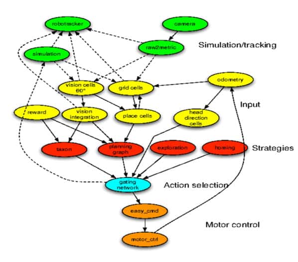 Schéma général des différents modules du « cerveau artificiel » du robot Psikharpax et de leurs interconnexions.<br />© ISIR/Caluwaerts Ken