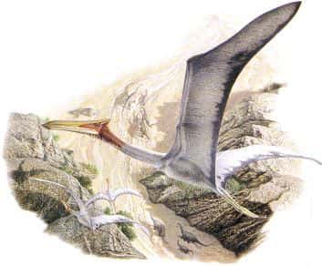 Le ptérosaure Quetzalcoatlus, le plus gros animal qui ait jamais volé. © <em>Natural History Museum</em>, John Sibbick