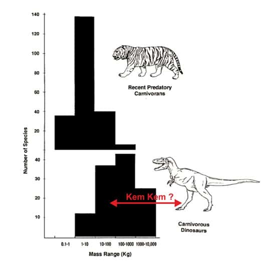 Comparaison des spectres de tailles chez les mammifères carnivores terrestres actuels (haut) et chez les dinosaures carnivores (bas). © Modifié d’après Farlow (1993)