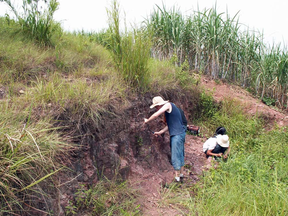 Collecte de restes de dinosaures et autres reptiles dans un gisement du Crétacé inférieur du Guangxi (sud de la Chine). © Romain Amiot, DR