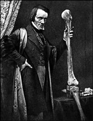 Le paléontologue britannique Richard Owen (1804-1892), qui fut le premier à publier une illustration du tibiotarse de <em>Gastornis</em> en 1856. © DR