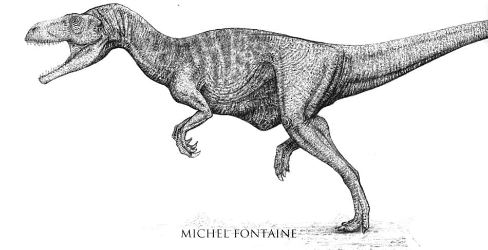 La reconstitution complète du dinosaure en dessin. © Michel Fontaine
