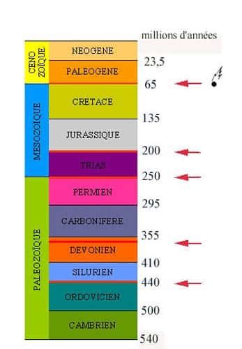 Les principales divisions des temps géologiques depuis le début du Paléozoïque, époque à partir de laquelle les fossiles deviennent abondants. Les flèches rouges marquent les grandes extinctions en masse. Les dinosaures ont vécu depuis le Trias jusqu'à la fin du Crétacé, qui est marquée par l'impact d'une énorme météorite. La catastrophe provoquée par cet impact est responsable de la disparition des dinosaures. © DR
