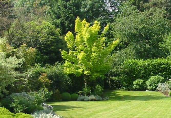 Pour obtenir un beau jardin entretenu, mieux vaut bien choisir son équipement d'arrosage automatique. © DR