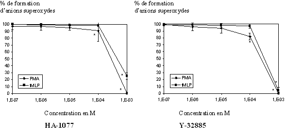 fig. 34 : Action du HA-1077 et du Y-32885 sur la production d'anion superoxyde chez le granulocyte neutrophile (n=6, * significativement différent de la référence pour p