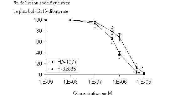 fig. 35 : Action du HA-1077 et du Y-32885 sur la liaison du phorbol-12, 13-dibutyrate avec la protéine kinase C (n=6, * significativement différent de la référence pour p