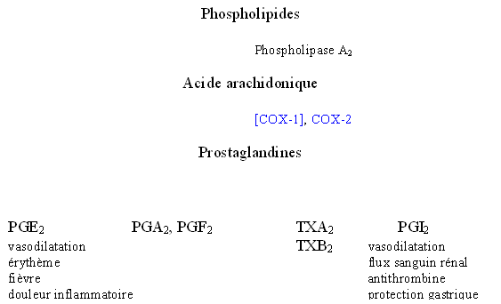 Fig. 44 : Implications possibles des prostaglandines et thromboxane produits à partir de l'acide arachidonique