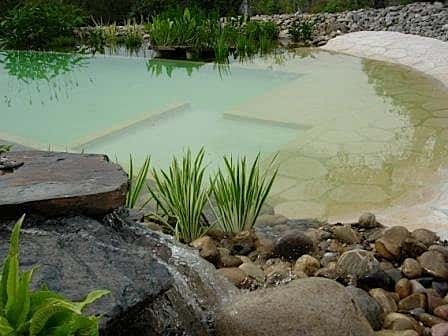  <br />Les piscines écologiques en forme libre augmentent la consommation d'eau. © Aca SPRL