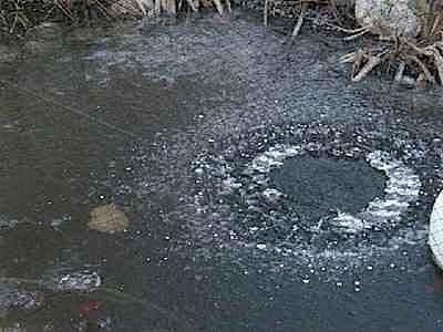 En plein hiver, il faut surveiller le gel sur le bassin. © roue-libre.be