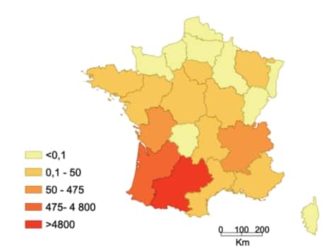 OGM : impacts sur l'économie française
